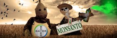 Resumen de contexto: bits y microbios Monsanto-Bayer hacia el control de insumos microbianos, datos masivos y agricultura de precisión