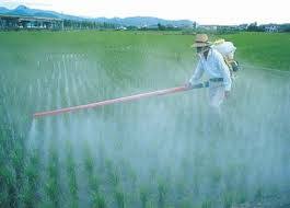 Clorpirifós, insecticida prohibido en EEUU, es el más detectado en nuestra comida